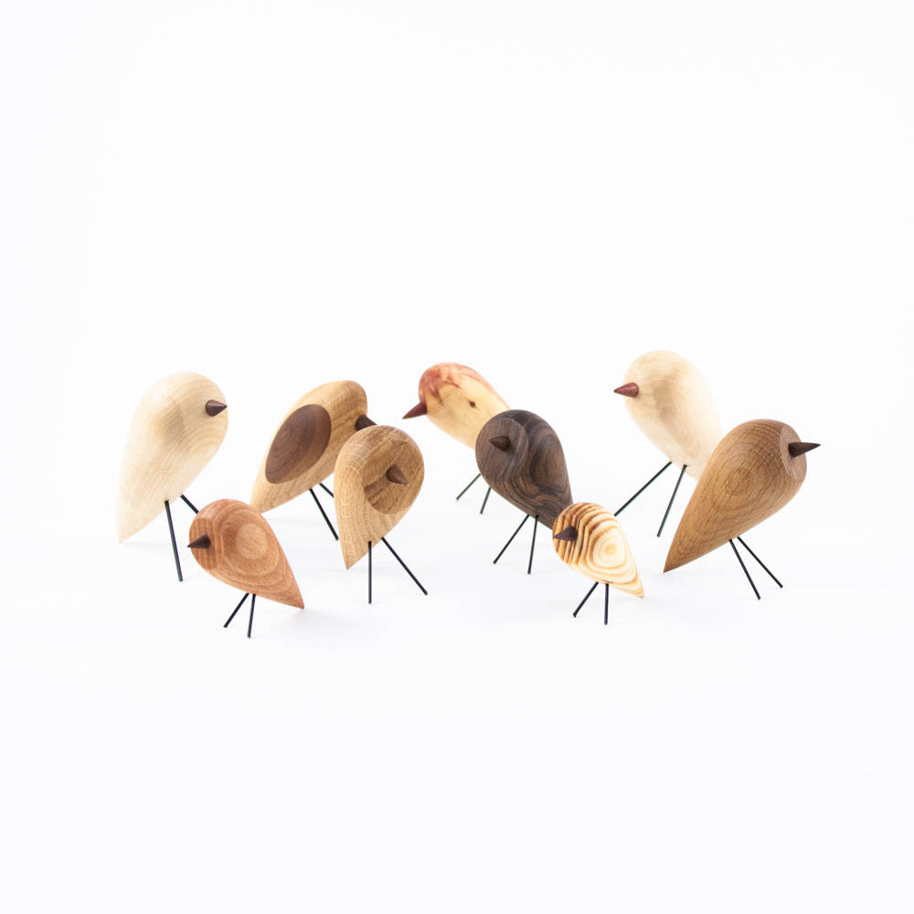 Wooden Bird – Diszeli x Magma