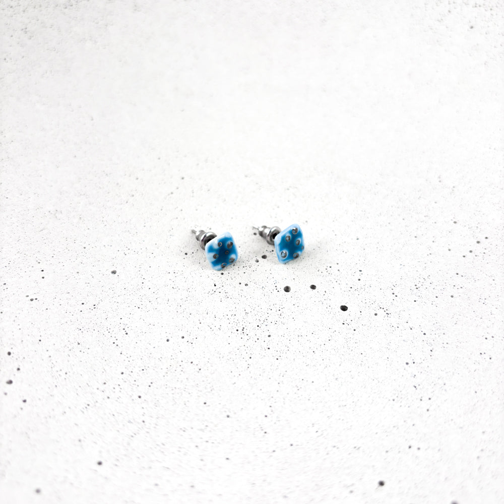 Ceramic earrings