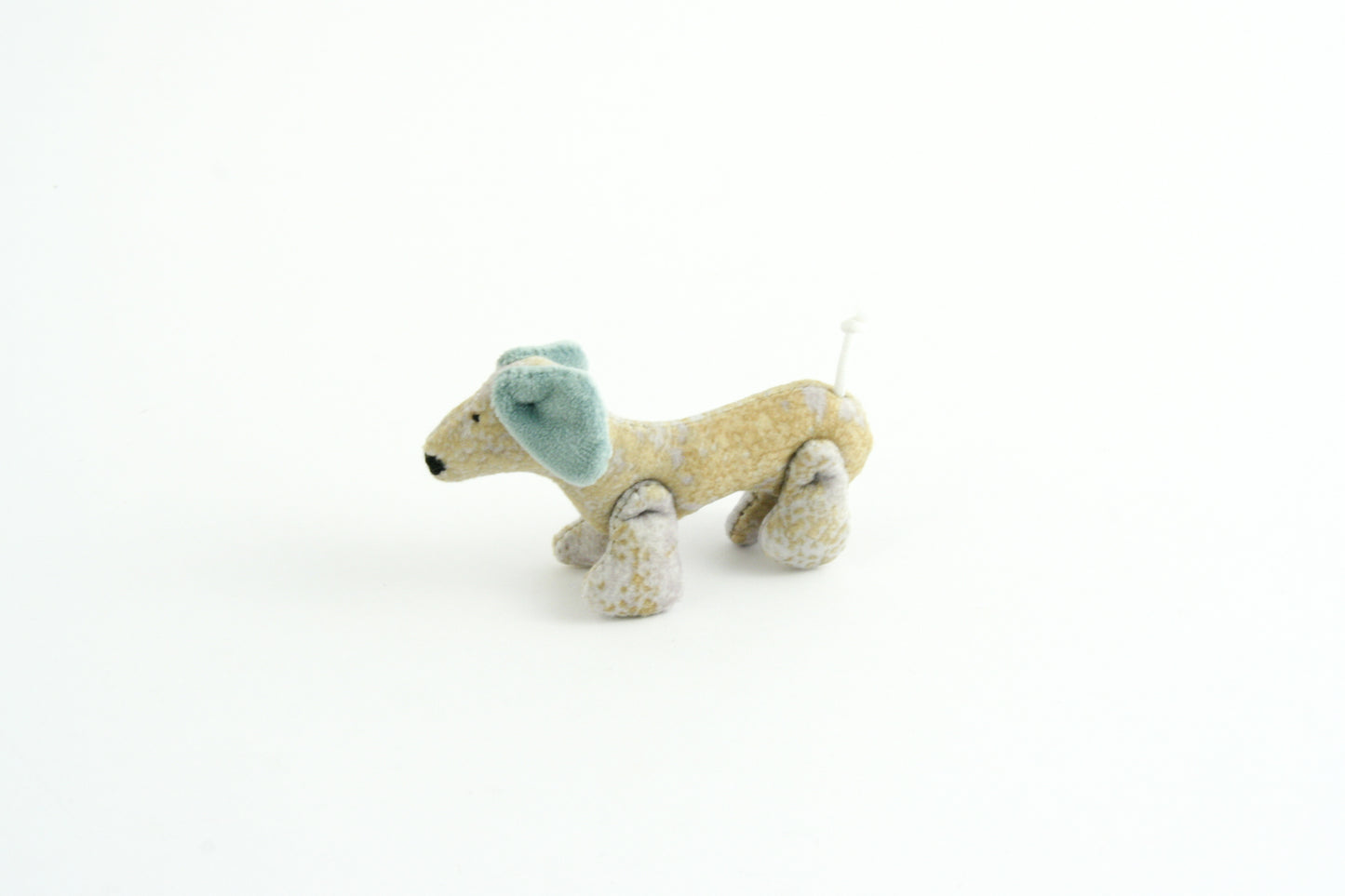Joel - Small dog