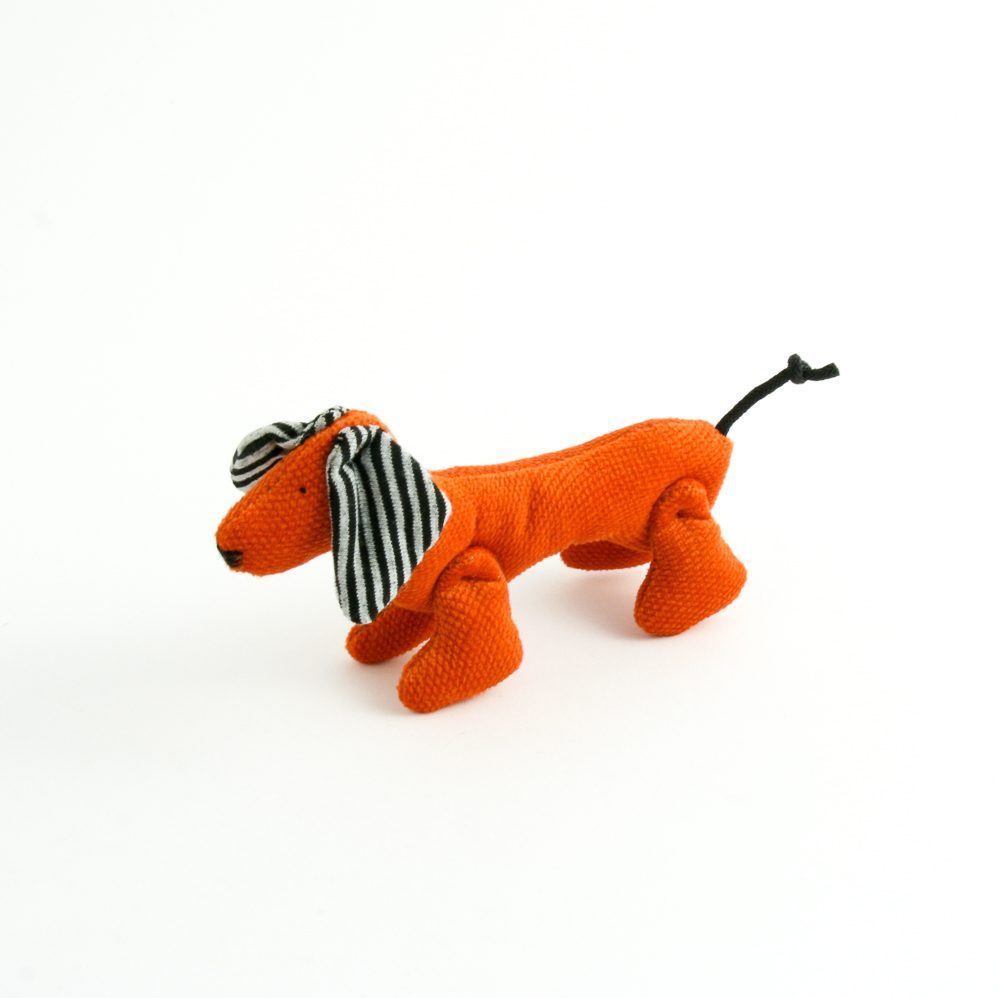 Joel - Medium dog