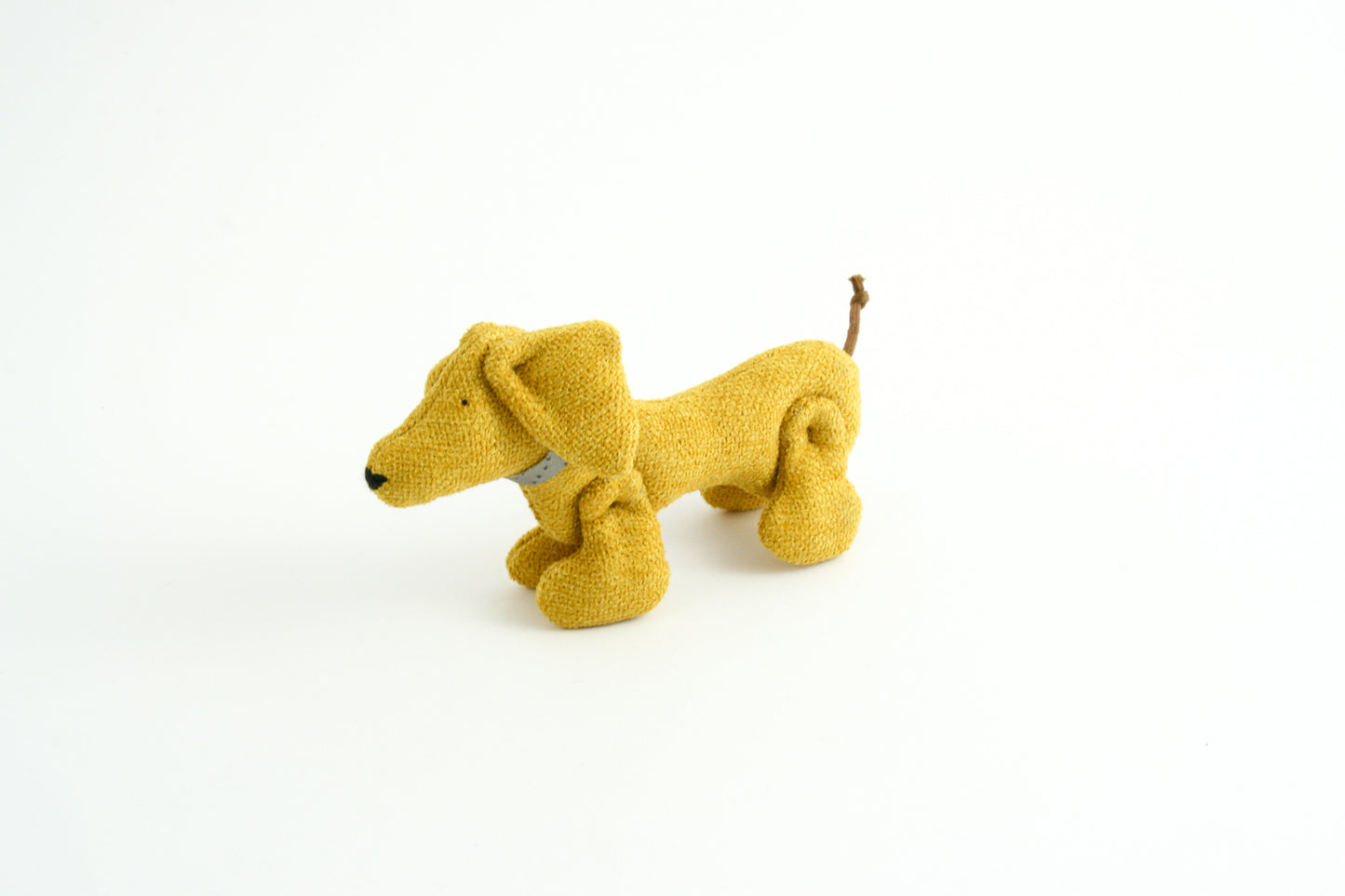 Joel - Medium dog