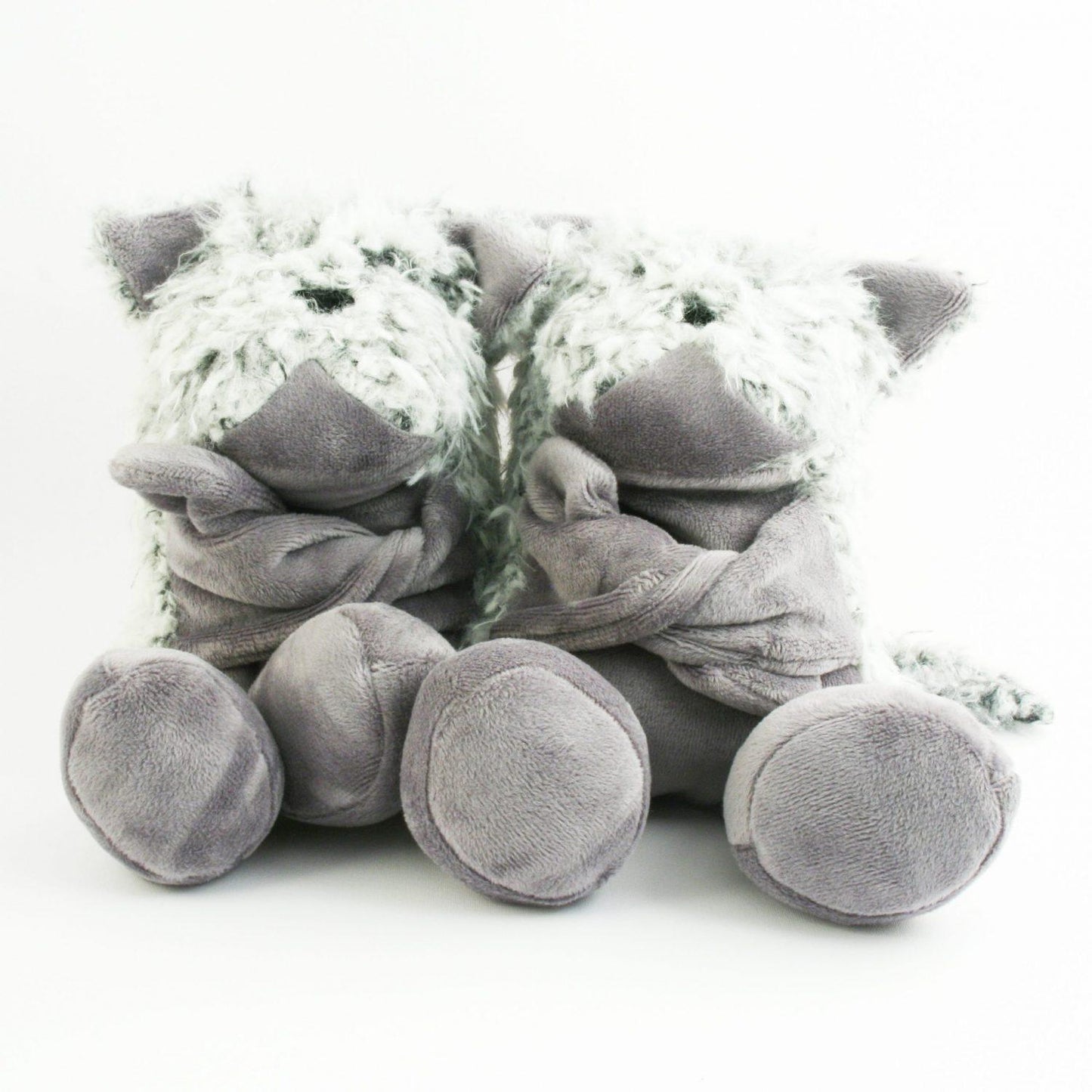 Hugging Pumis - Pumi dog