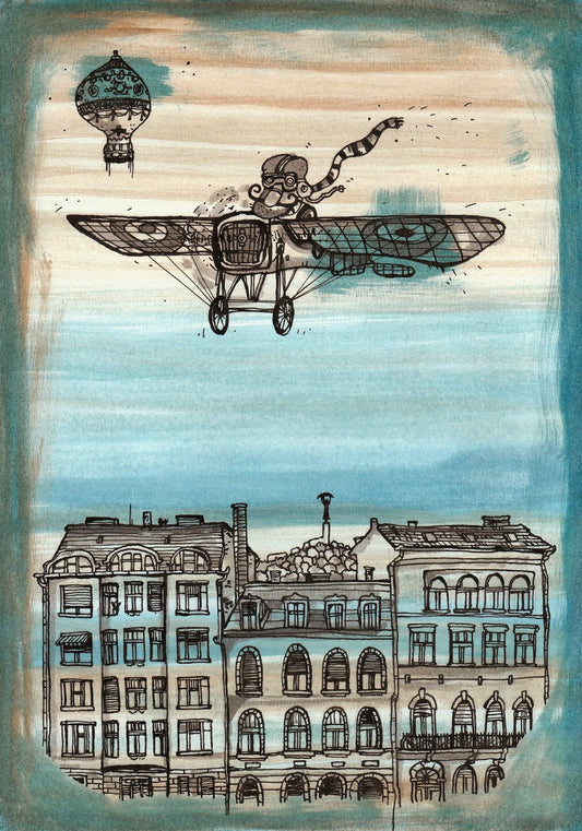 Airplane above Budapest