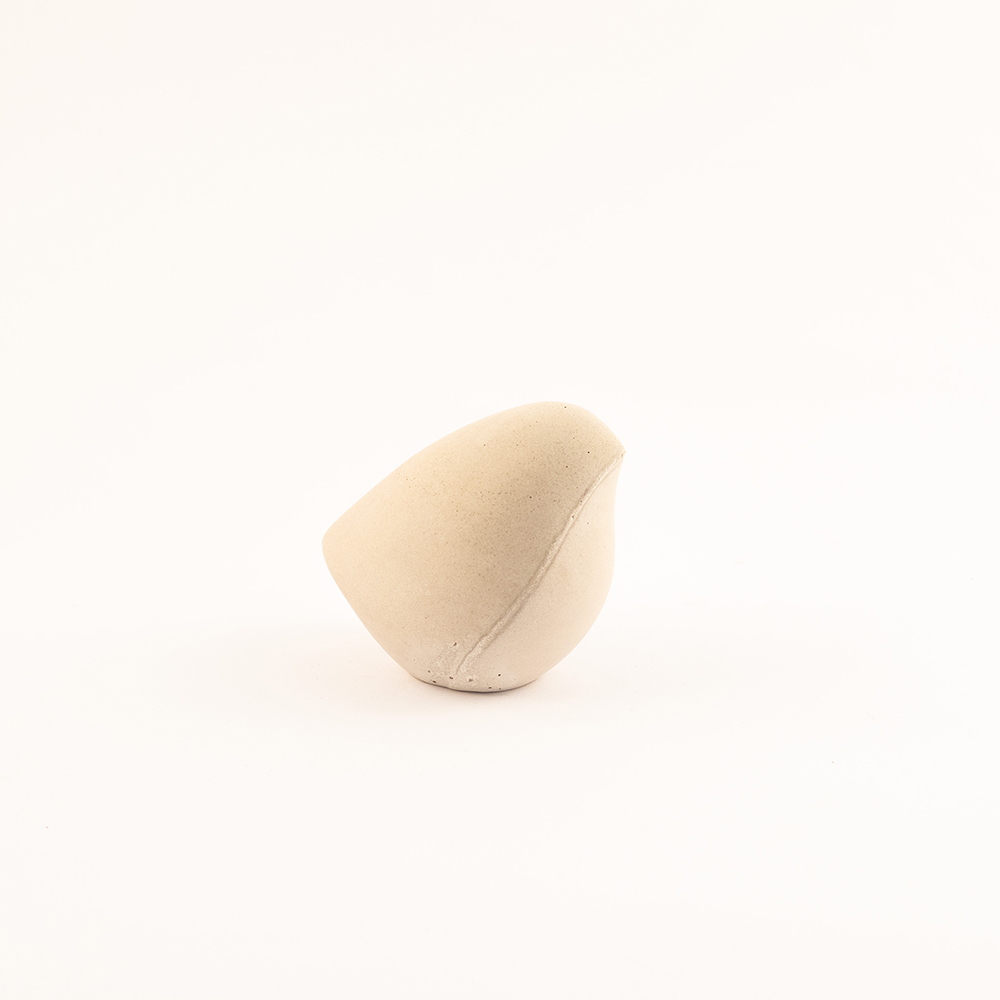 Misija - bird