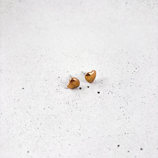 Ceramic earrings