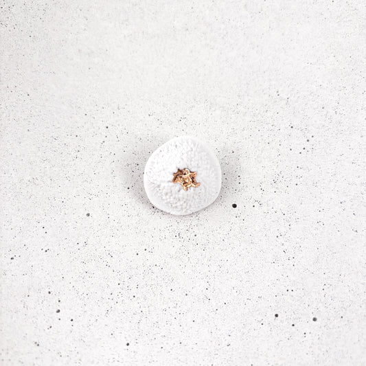 Ceramic brooch
