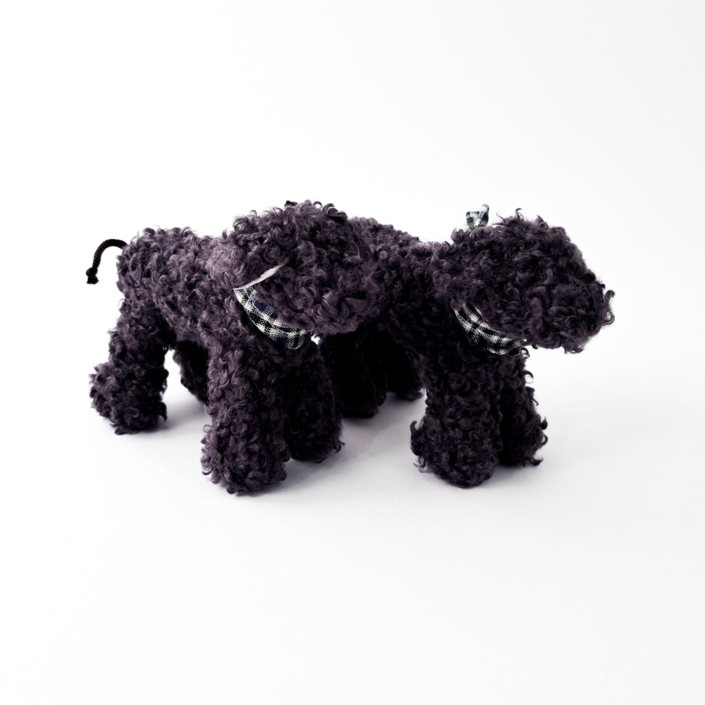 Joel - Komondor dog
