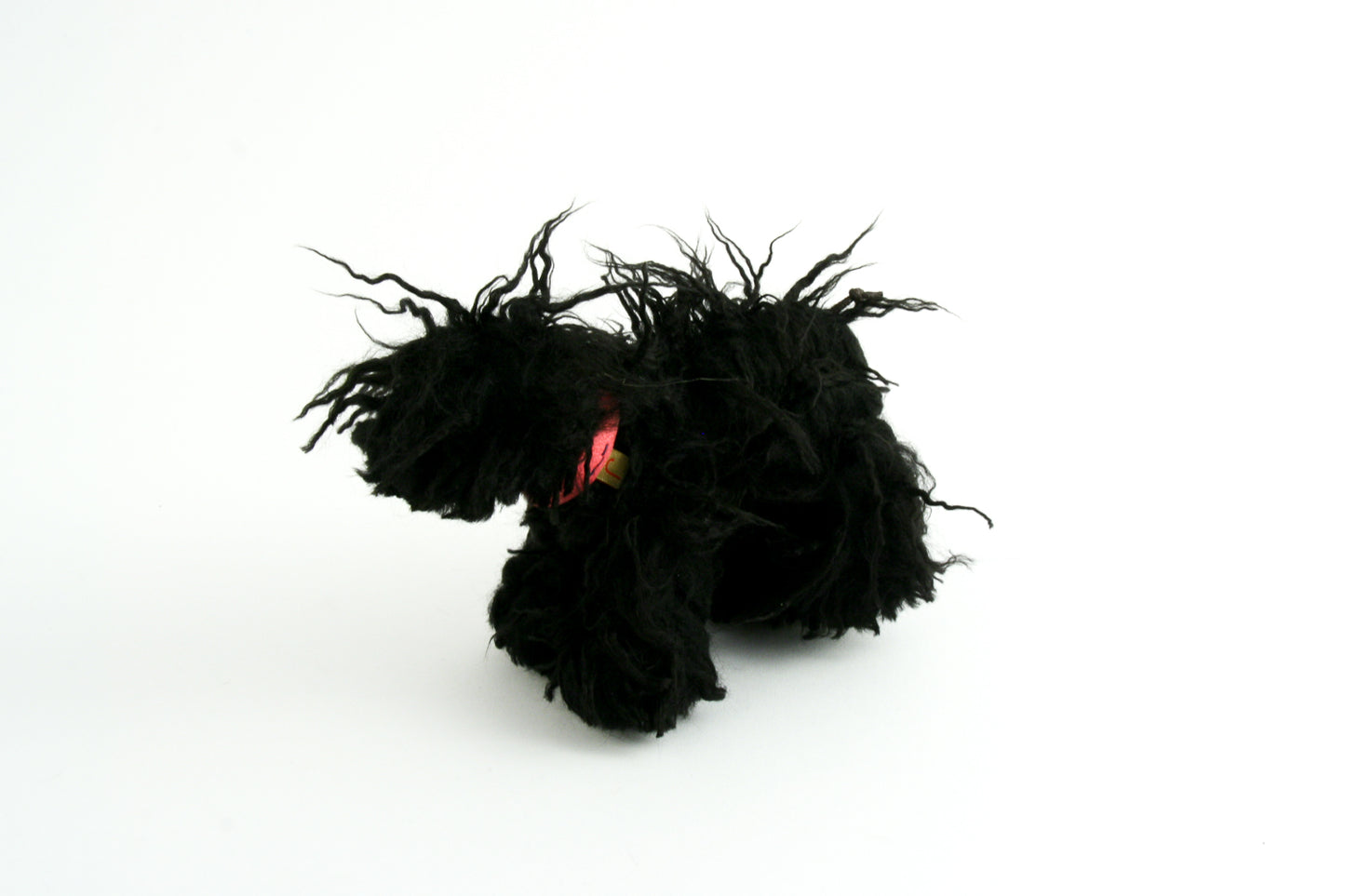 Joel - Puli dog