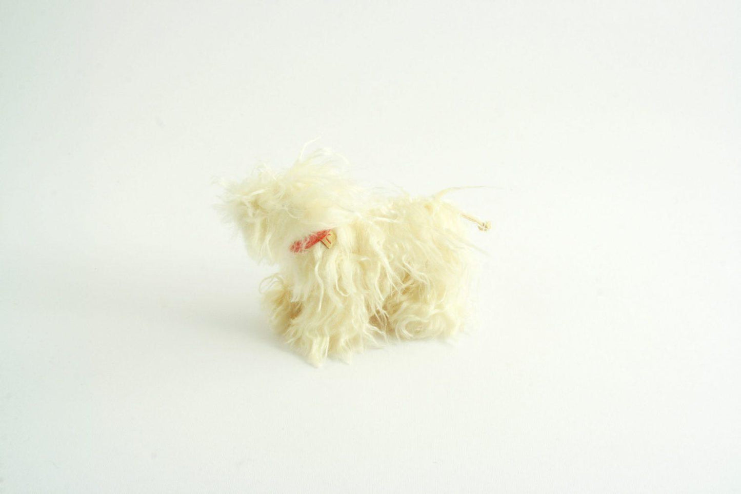 Joel - Puli dog - white