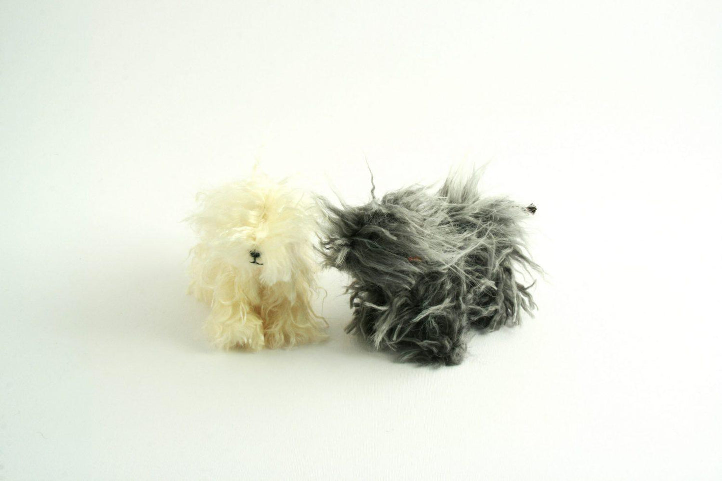 Joel - Puli dog - white